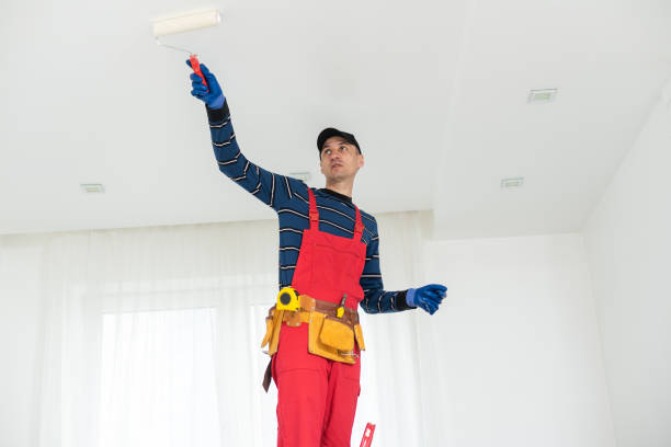 Best Drywall Repair  in Lasalle, IL